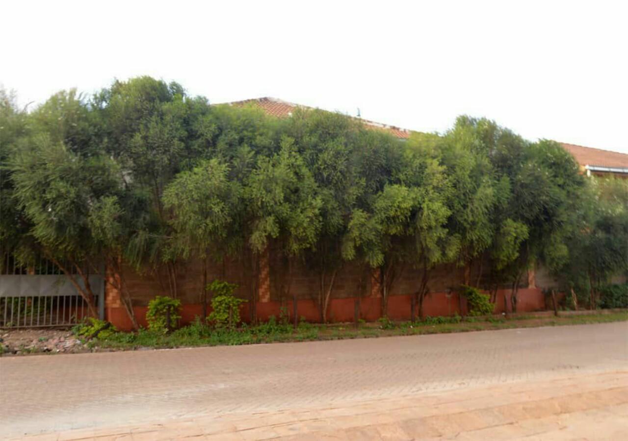 Nemadek Royal Park Apartment Nairobi Exterior foto